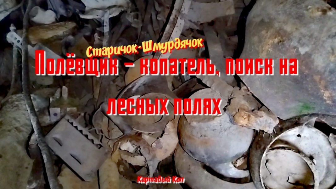 Поиск монет  а металл терерь сопутка. Такая теперь реальность поиска.