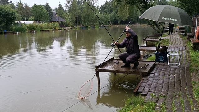 Поимка сомика