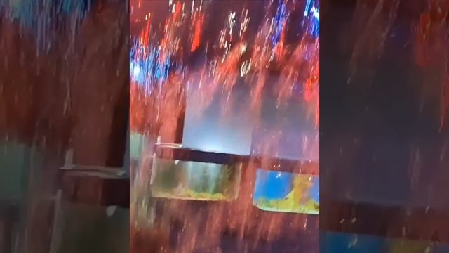 В жару прогулка возле водопада в океанариуме.