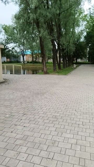 VID_20250629_132636.mp4