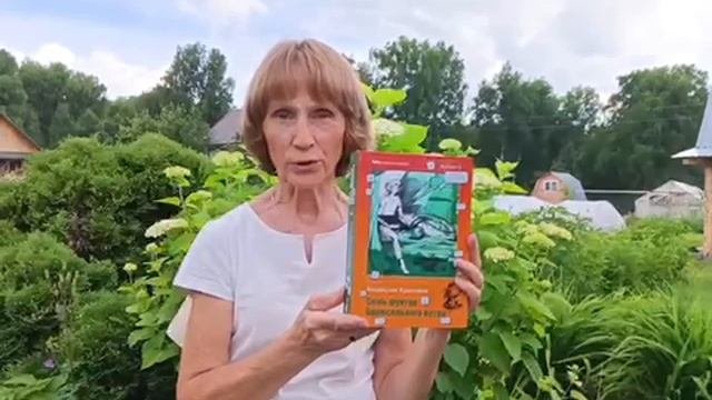 Читаем на даче: Книги в ягодной корзинке