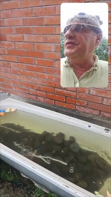Привороты отвороты на дождевую воду любовный треугольник
