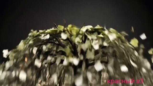 ДЕНЕЖНОЕ ДЕРЕВО
