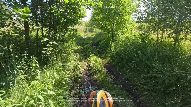 На лайте.mp4