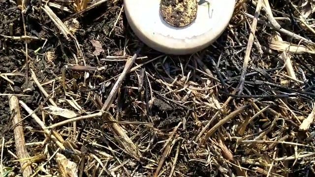 ДЕНЬ НИКОЛАЕВСКОГО СЕРЕБРА!!!! СТОЛЬКО ЕЩЁ НЕ НАХОДИЛ!!!  КОП С Minelab X-Terra 705..