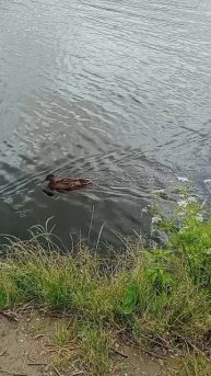 как САНЯ ходил на рыбалку