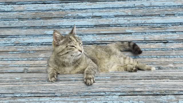 Маленькая Швейцария. Железноводск