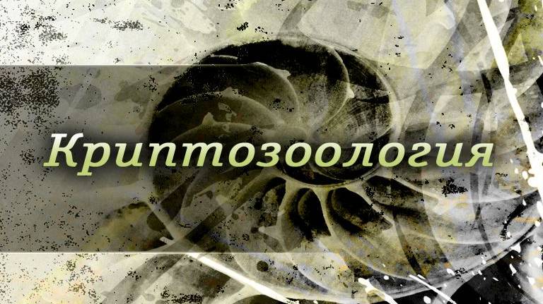 Криптозоология # 1.6. Великий морской змей