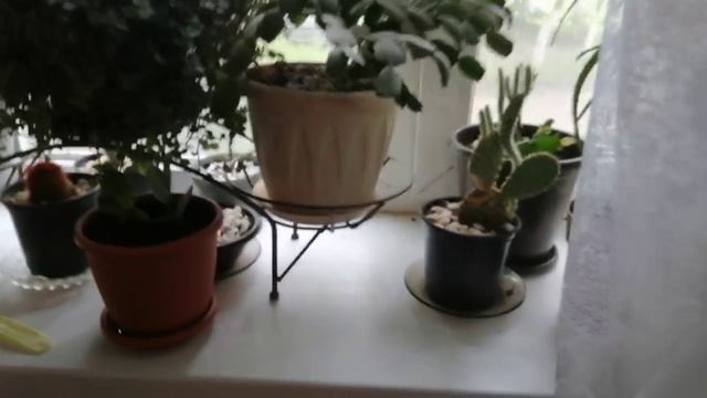 30-06-2025 приготовила обед