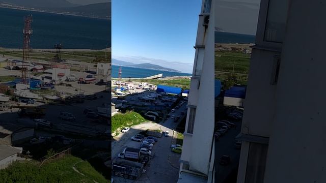И поволокут тебя бедолажку