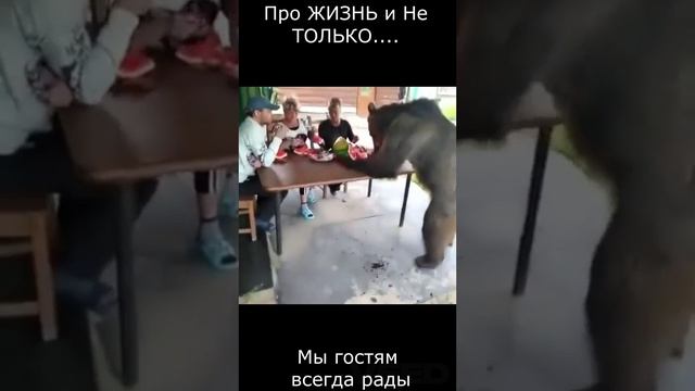 Улётное видео, весёлые картинки, смешной анекдот....