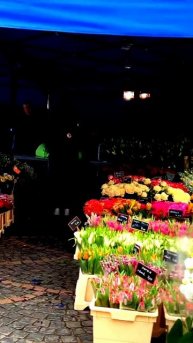 Секунды, зафиксированные камерой