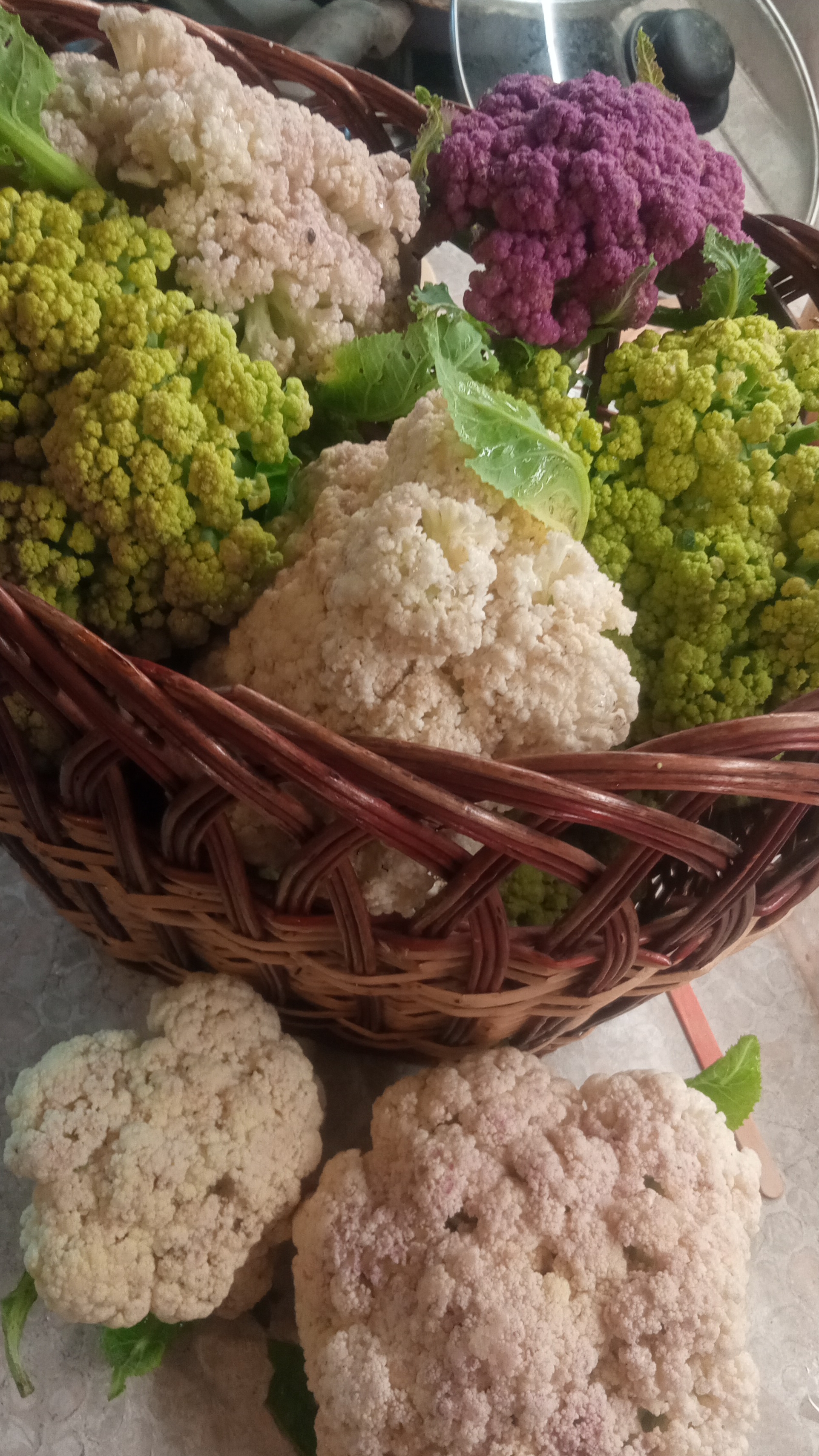 Этот сорт цветной капусты очень понравился