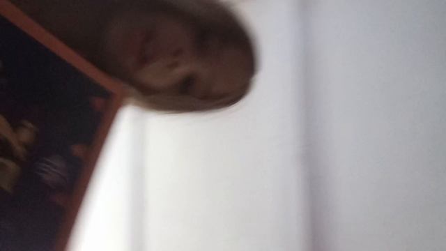 я вернулась с изминениями