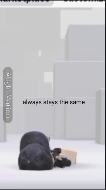 Соло не будет без актива