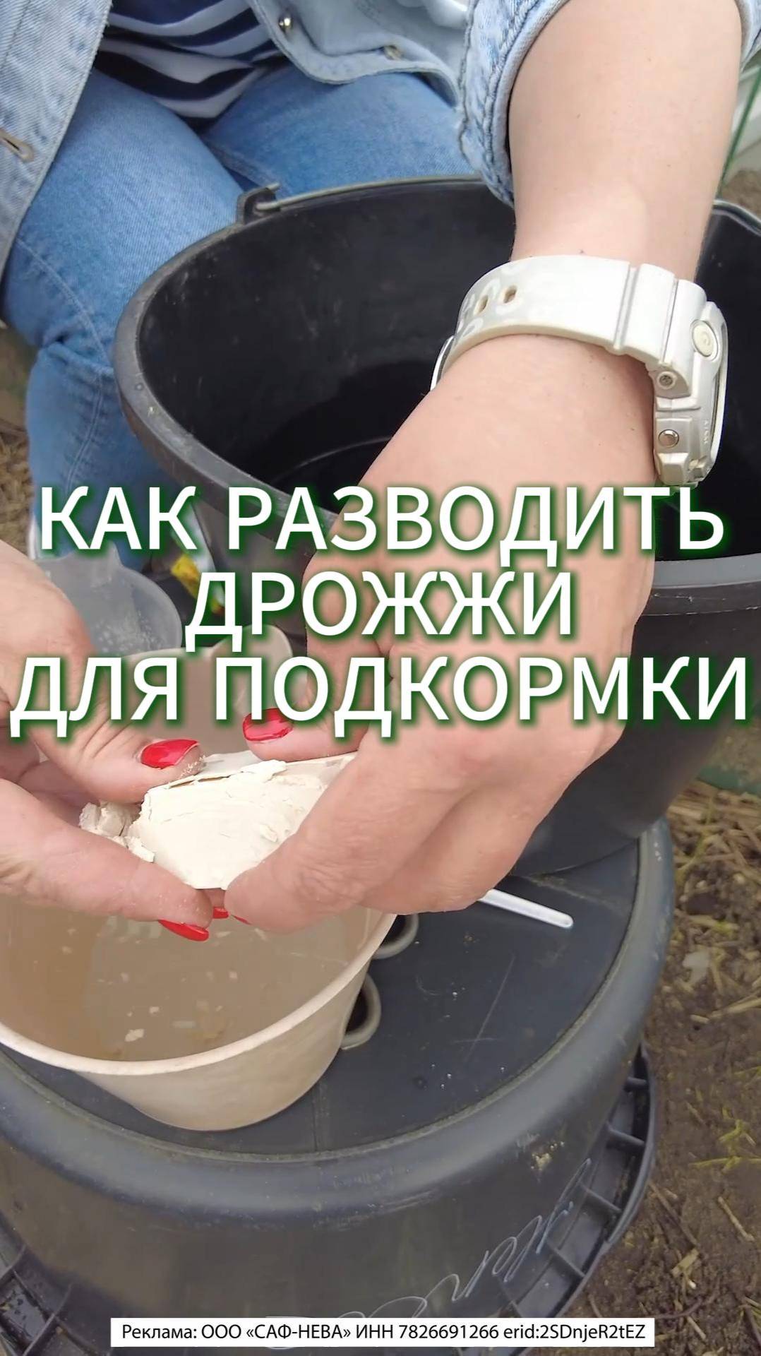 ПОДКОРМКА ИЗ ДРОЖЖЕЙ - КАК РАЗВОДИТЬ ДРОЖЖИ #сад #садоводничество #дача