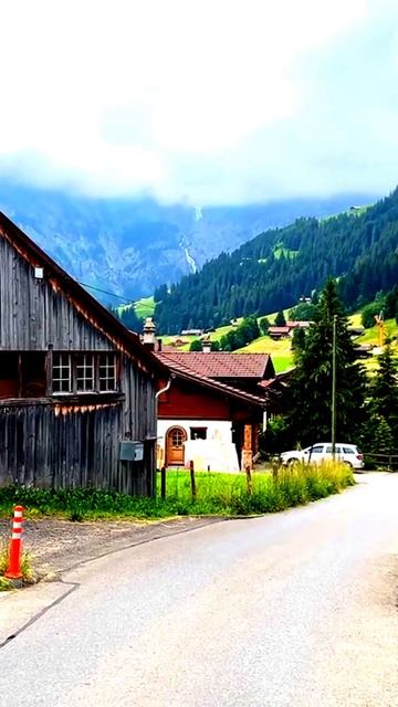 Камера сняла курьёзный случай