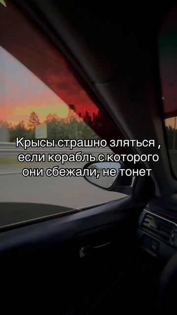 Мысли вслух