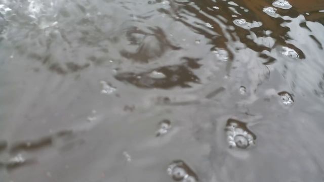 После дождя. Звук воды.