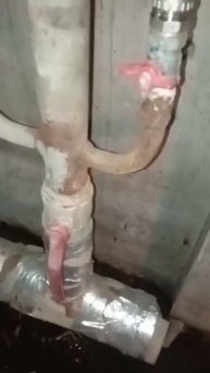 Эстонская, 37/1