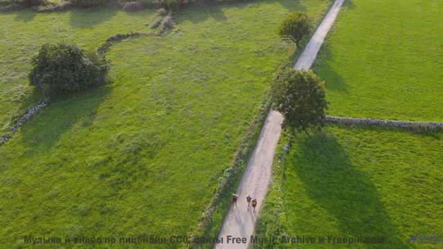 Пейзажи открываются, когда музыка входит в кровь - Over These Walls -- Hope and Social -- Yorkshire