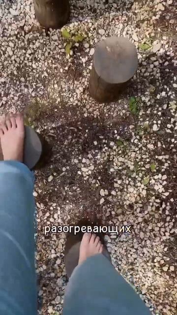 Босоногая тропа в Лосином острове! #1ᅠнаᅠвкладкеᅠвᅠтренде
