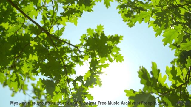 Звуки, создающие материю из пустоты - наука или магия - Boiling Point -- Frau Holle -- Different Way