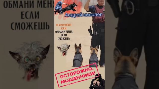 Поставки верблюжих губ от ВЛАДА!