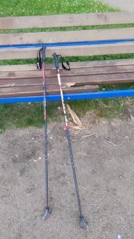 Палки для скандинавской ходьбы, 27 июня 2025.