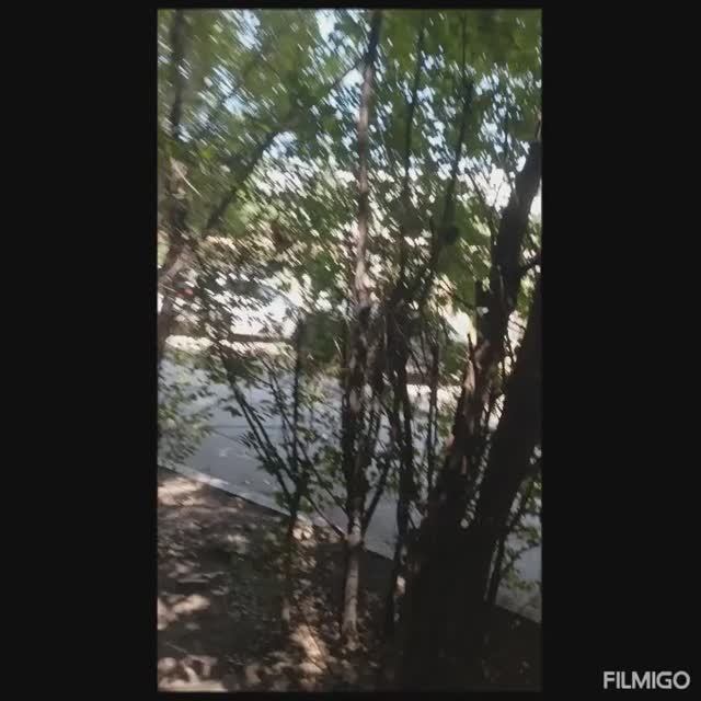 Мы катаемся на корабле