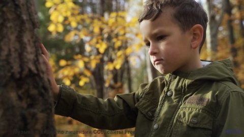 Мелодия, которую слышно только в полночь. - Lets Skip To The Good Bit -- Duncan Reid and the Big Hea