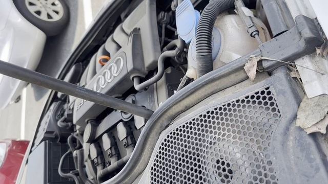 share 8PBVY-WAUZZZ8P66A120114