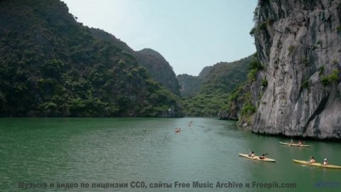 Леса становятся ближе с каждым новым аккордом - Y -- Taylor Poe -- 10 Million Babies