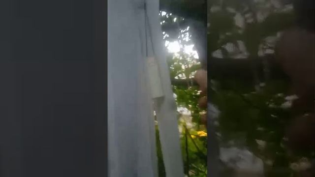 Строим дом без гвоздей