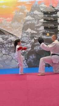 Удар Mawashi Geri Каратэ Спорт