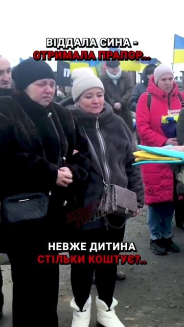 Жинка не поняла зачем ей дали тряпку за то, что сынку головой не подумал, когда надо было