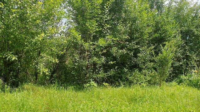 По кругу всё - ни срезать, ни стереть...