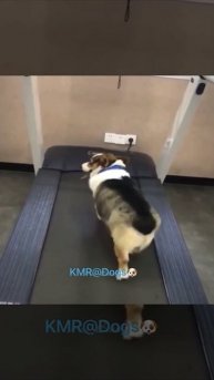 Я так, за компанию пришел позаниматься😂