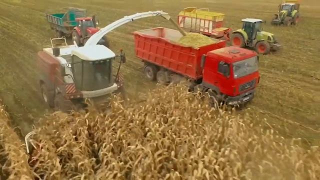 Рекорд России за 78 секунд: как был установлен рекорд по кормозаготовке на комбайне  RSM 2650