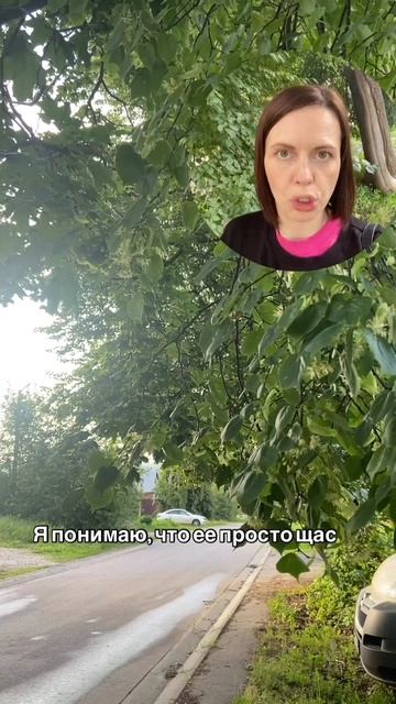 Собираю травы