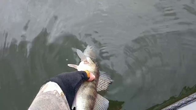 Мелочь - весом набираться!!!