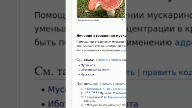 Рак. Осторожно! Лечение мухомором
