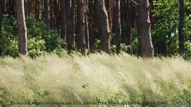 Когда музыка и пейзажи сливаются в один шедевр! - Above The Mountains -- Kirk Osamayo -- Season Two