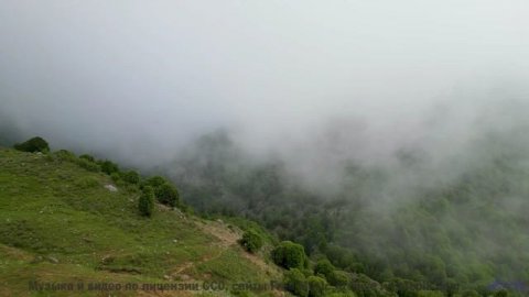 Дорога, рассвет и мелодия, которая звучит как биение ваших сердец - Chaos -- Kirk Osamayo -- Season