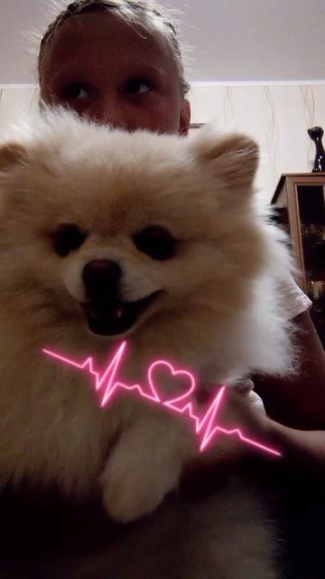 Ставим лайки, подписываемся на канал, и пишем комментарии для Жужинота♥️