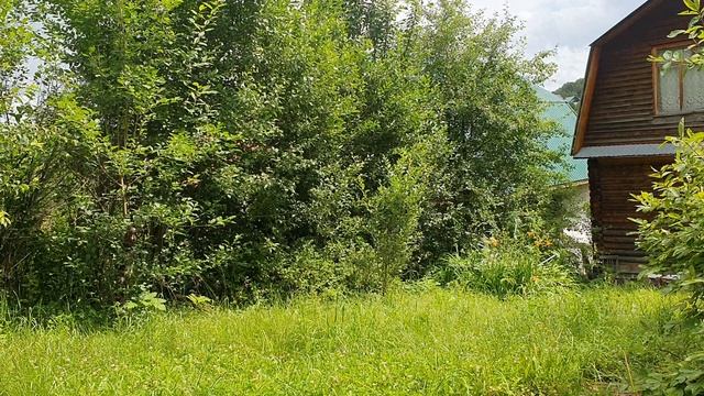 Вновь на сердце снега...