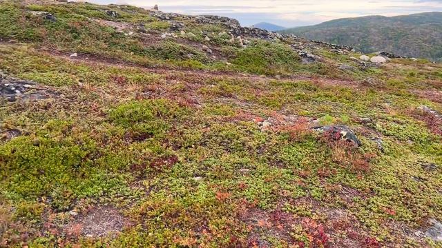 Север-2024. 23. Кандалакша, сопка Крестовая