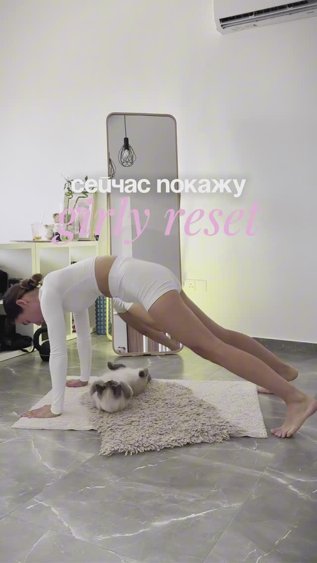 Помогает в любых непонятных ситуациях #фитнесдома #cat #hisports #тренировка #пилатес