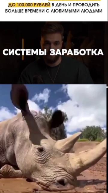 Зарабатывай на видеороликах