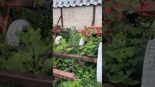Культиватор КШУ-4,6 экспресс-обзор от Ивана Чуркина